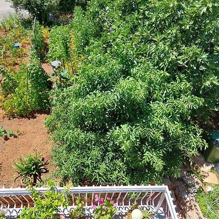 Apartmani Toni Vodice Exteriör bild