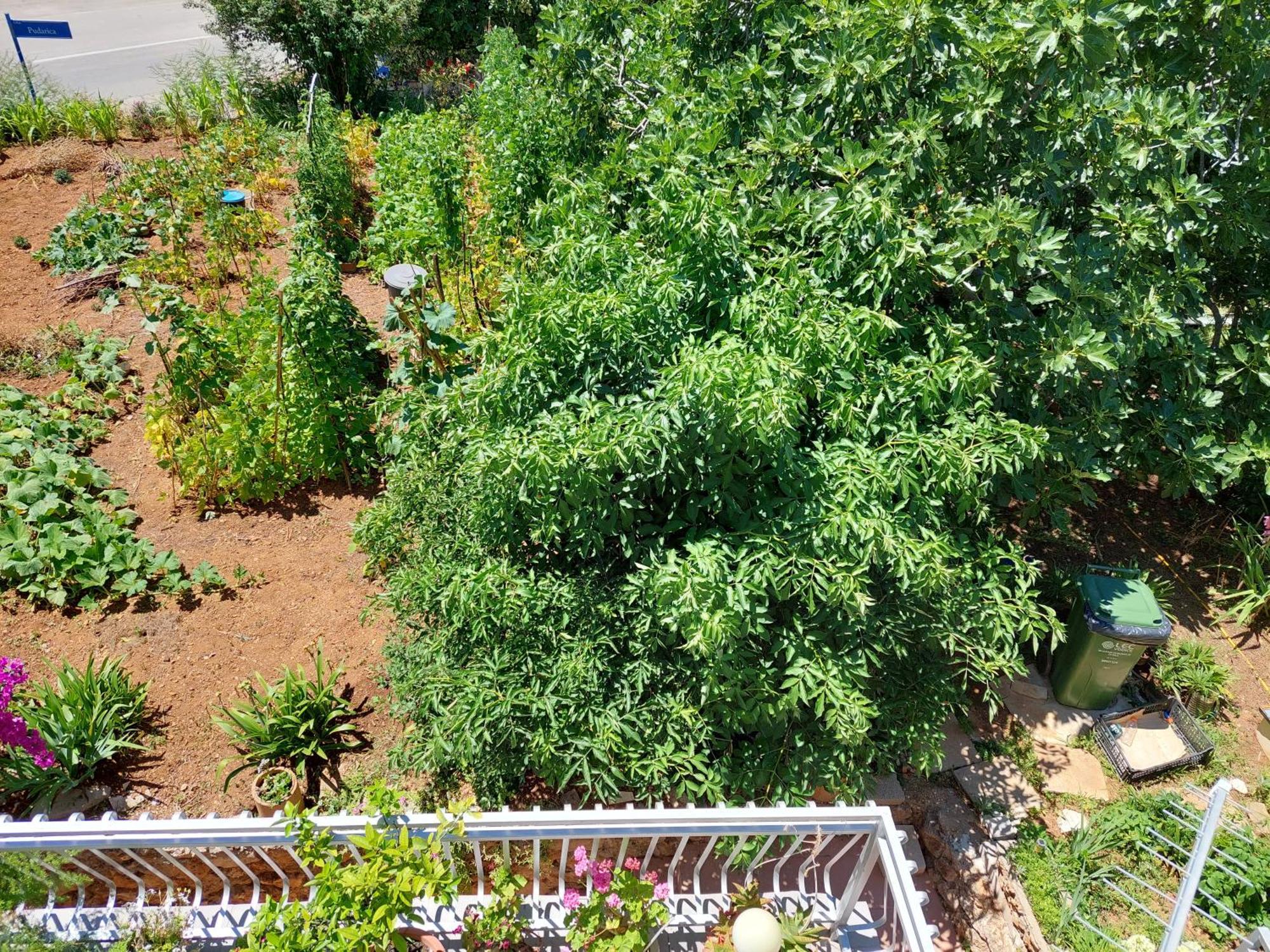 Apartmani Toni Vodice Exteriör bild